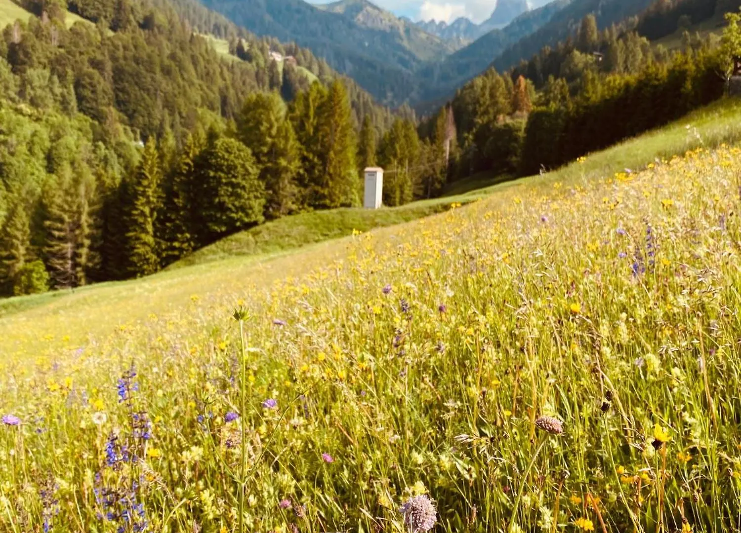 ***  Garni Ladinia Hotel Pescul Italy